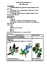 Giáo án môn Mĩ thuật 4 - Vẽ hoa lá